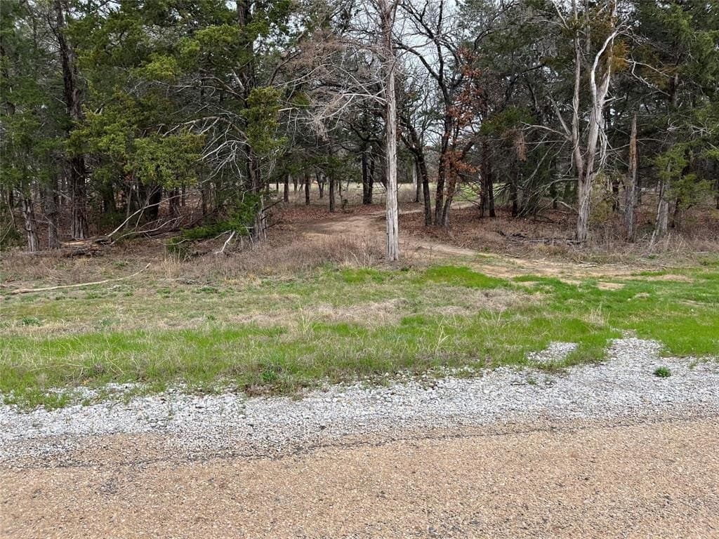 4 acres in Wise County - photo 5