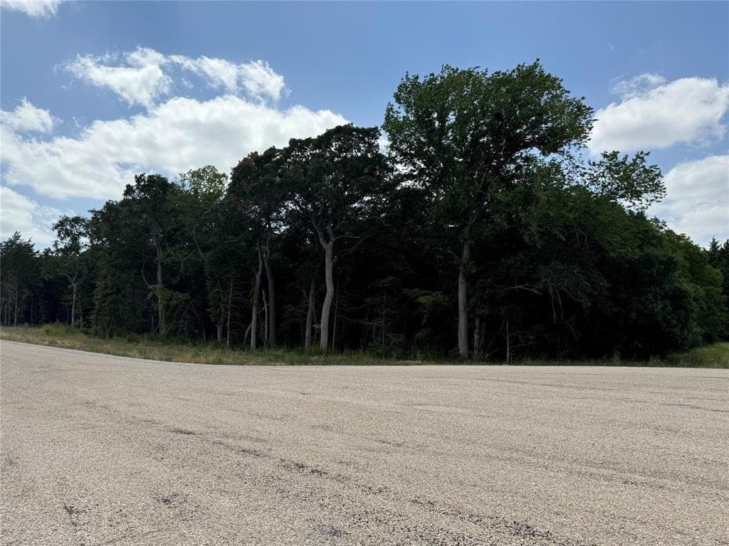 4 acres in Wise County - photo 18