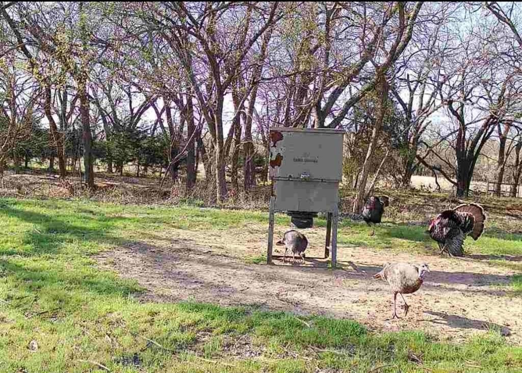 10.04 acres in Wise County - photo 36