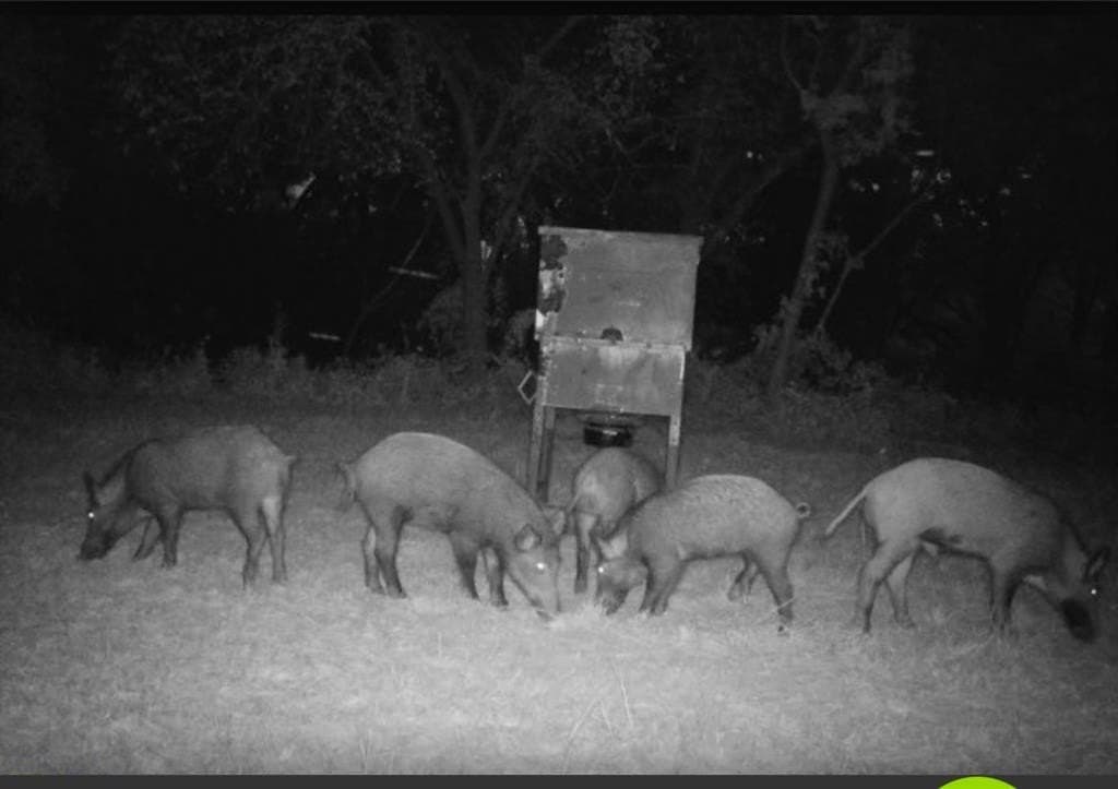10.04 acres in Wise County - photo 37