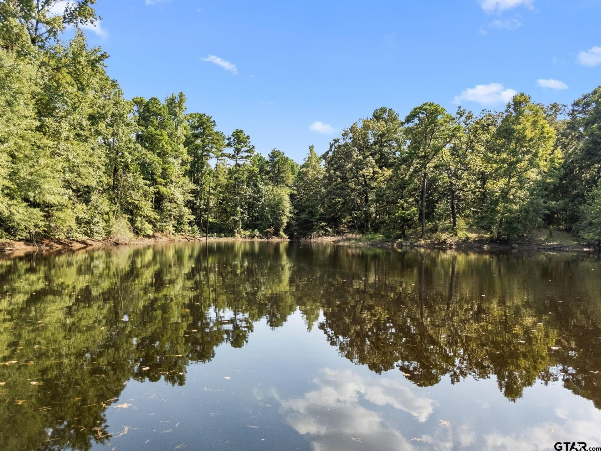 37.72 acres in Wood County - photo 4