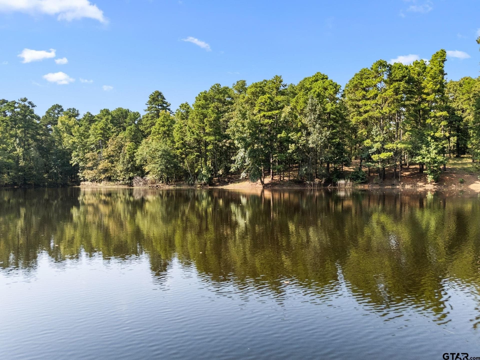37.72 acres in Wood County - photo 41