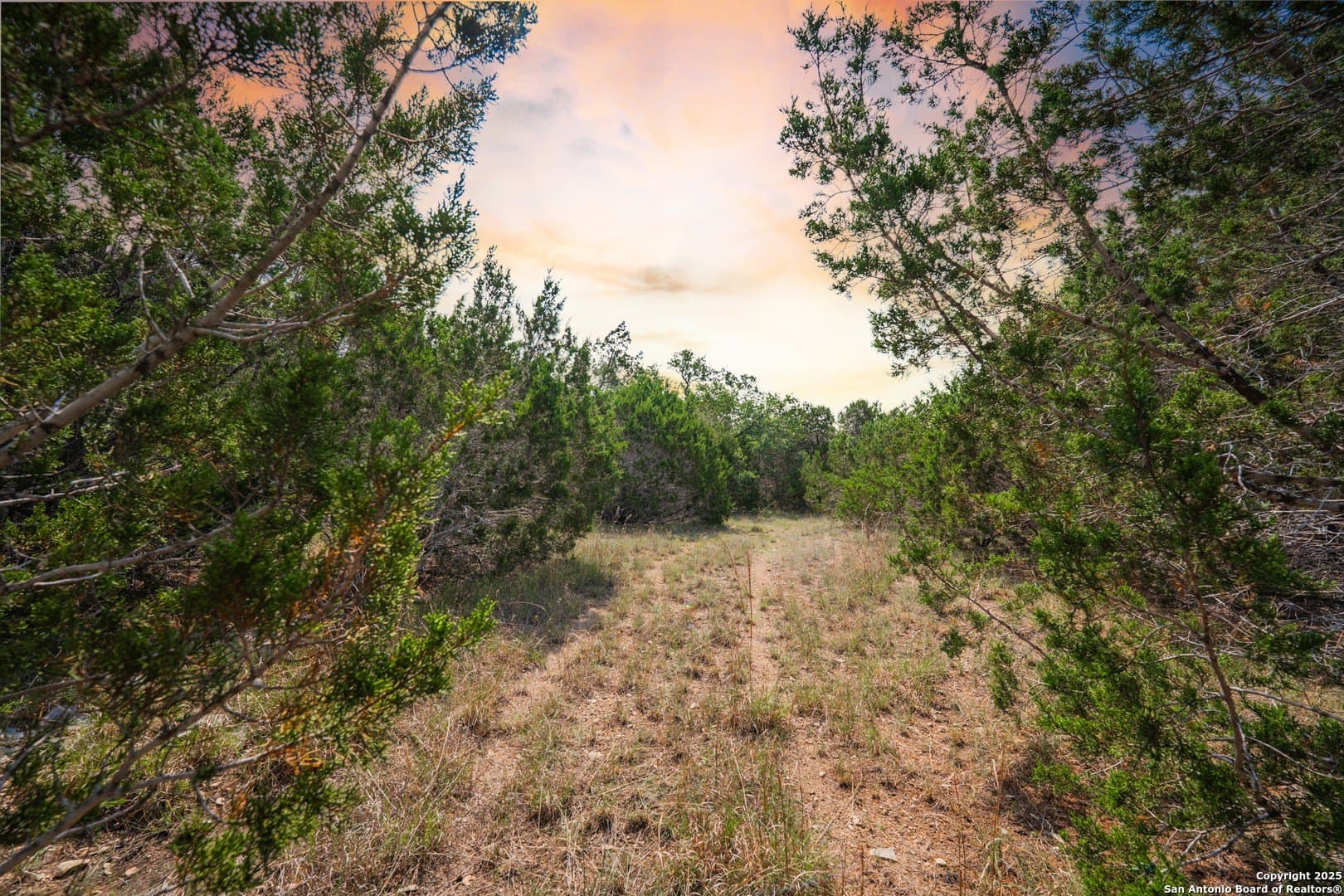 0.96 acres in Comal County - photo 8