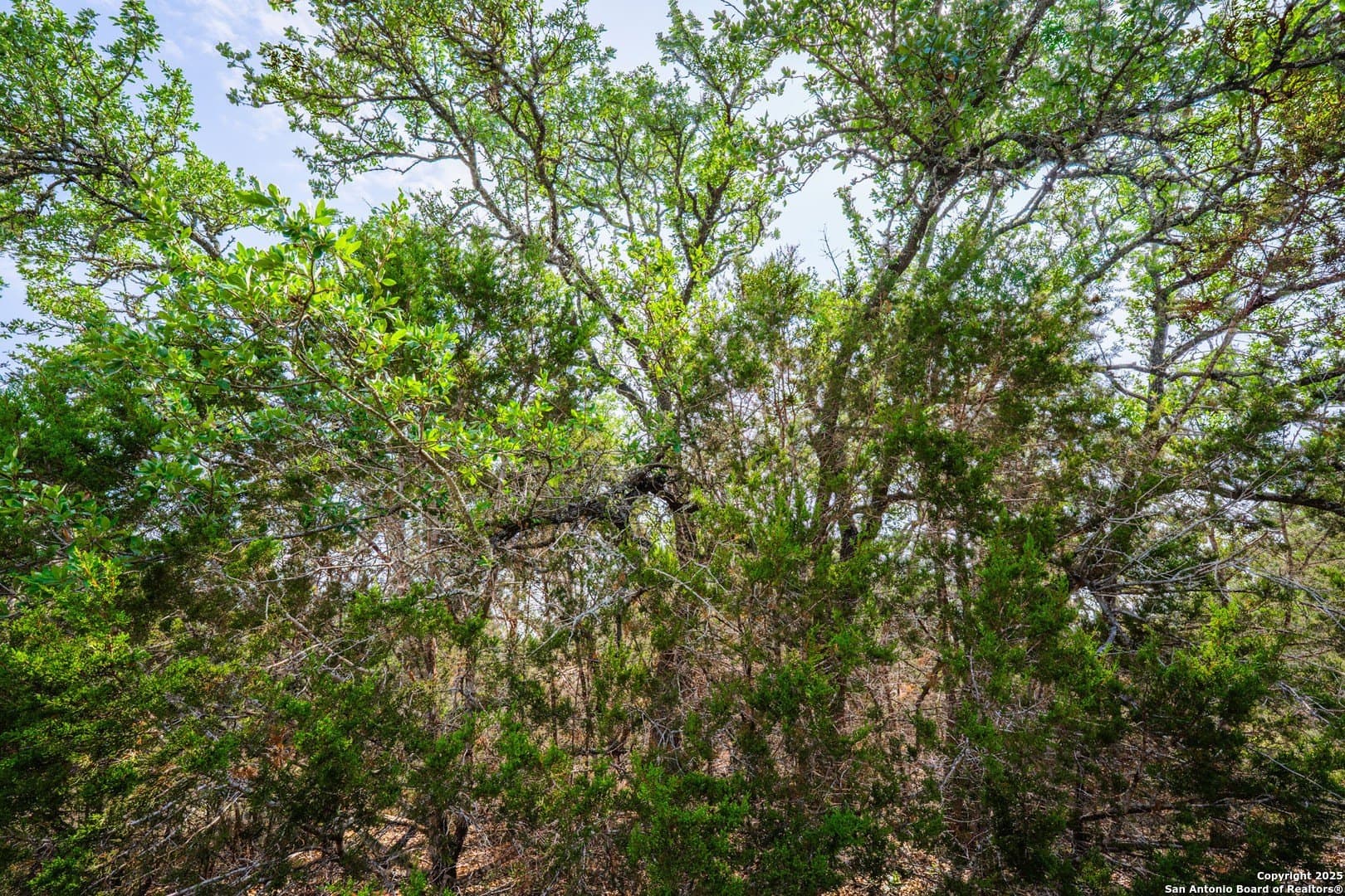 0.96 acres in Comal County - photo 11