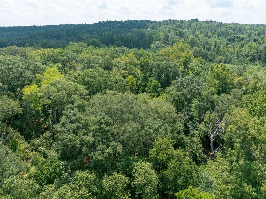 29.56 acres in ANDERSON County - photo 5