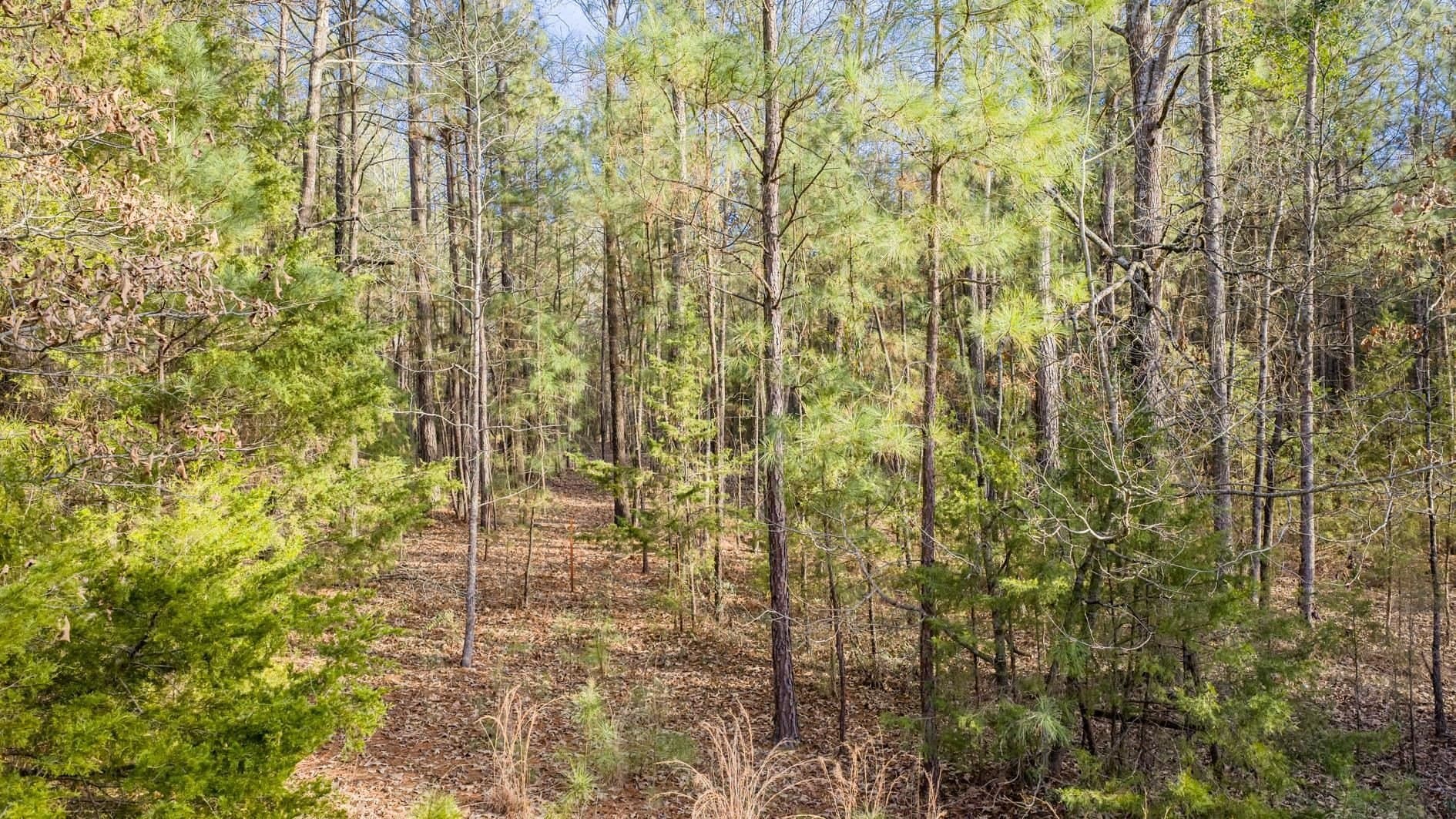 9.42 acres in Marion County - photo 5