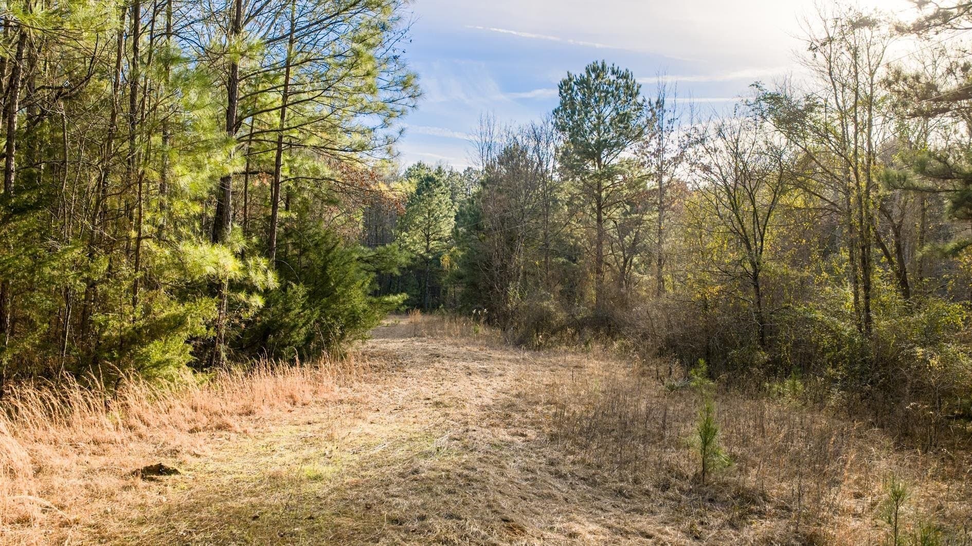 9.42 acres in Marion County - photo 4