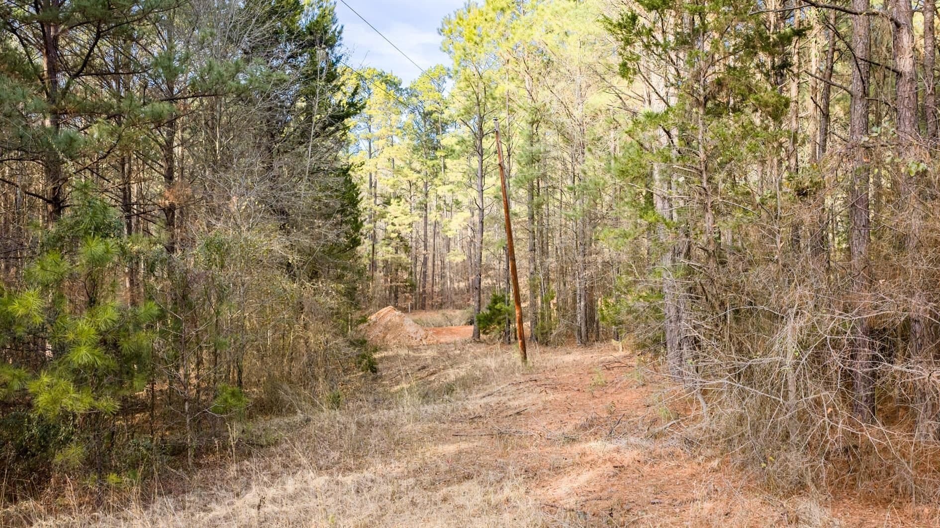 9.42 acres in Marion County - photo 9