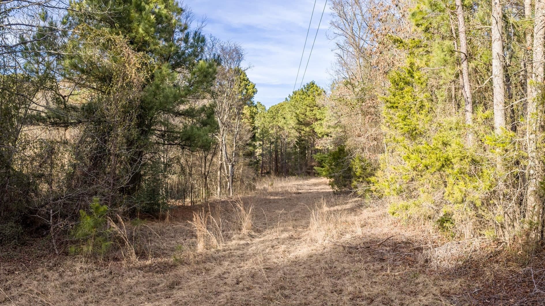9.42 acres in Marion County - photo 8