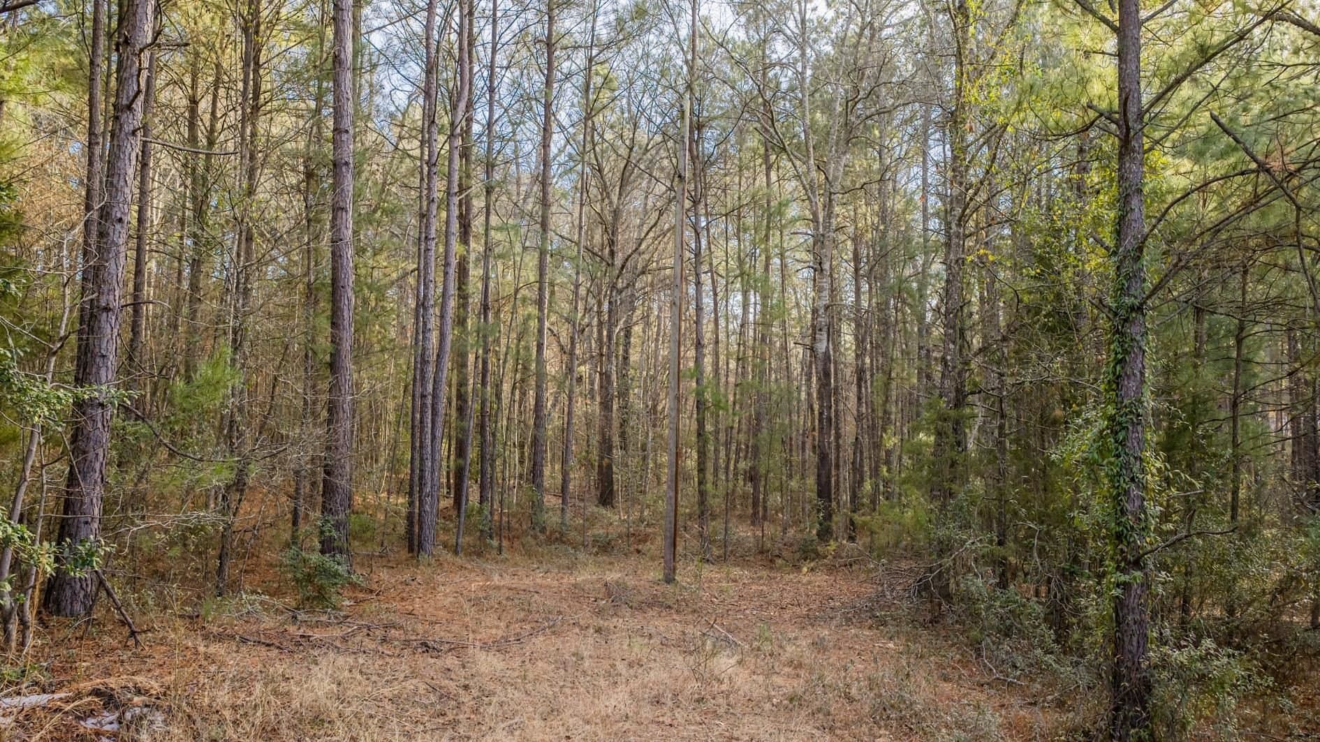 9.42 acres in Marion County - photo 7