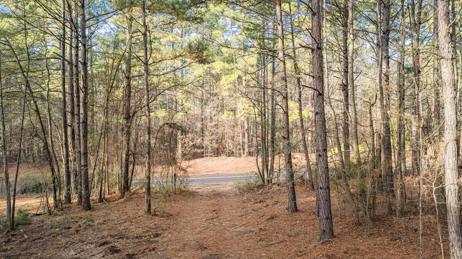 9.42 acres in Marion County - photo 10