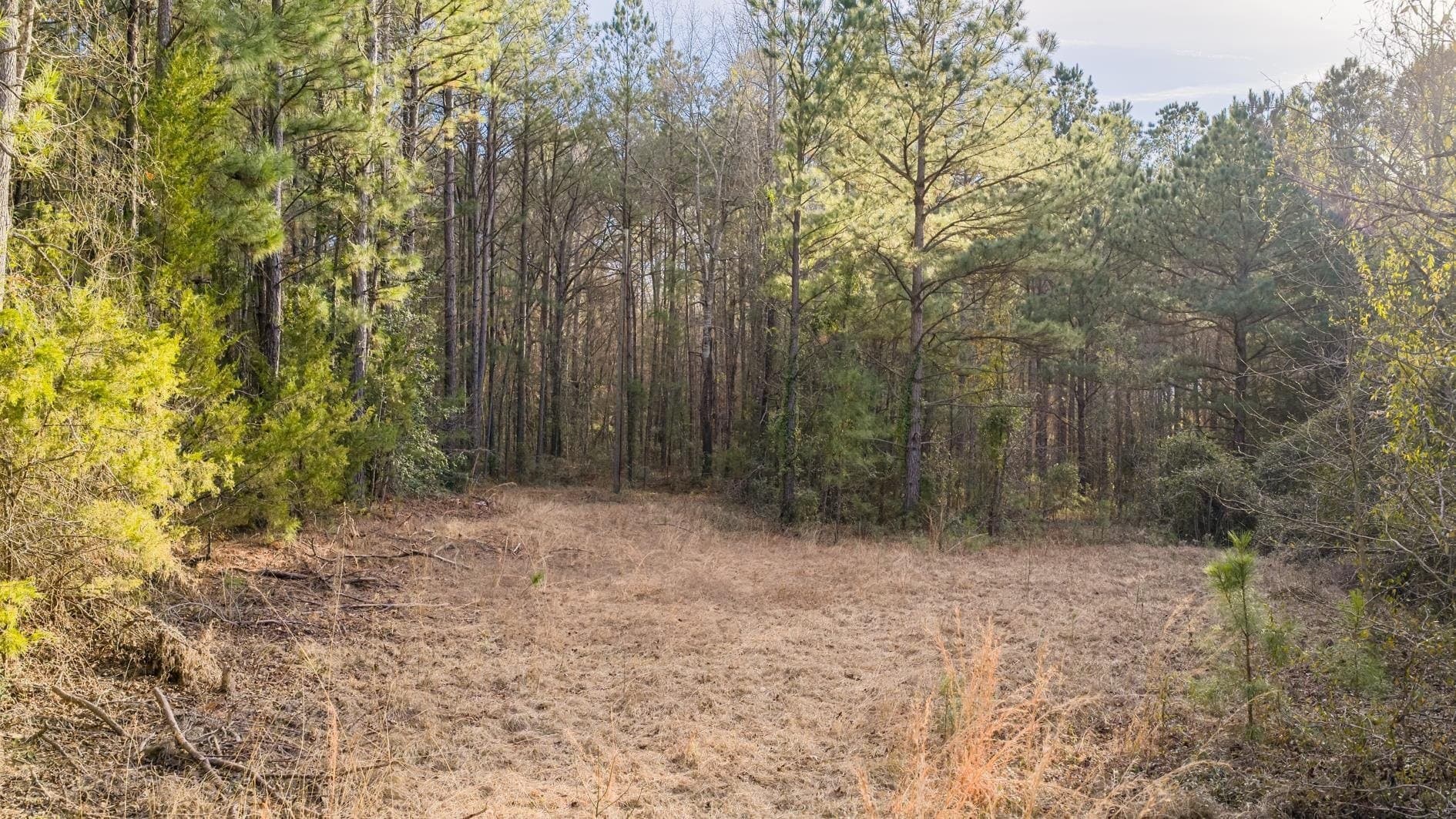 9.42 acres in Marion County - photo 6