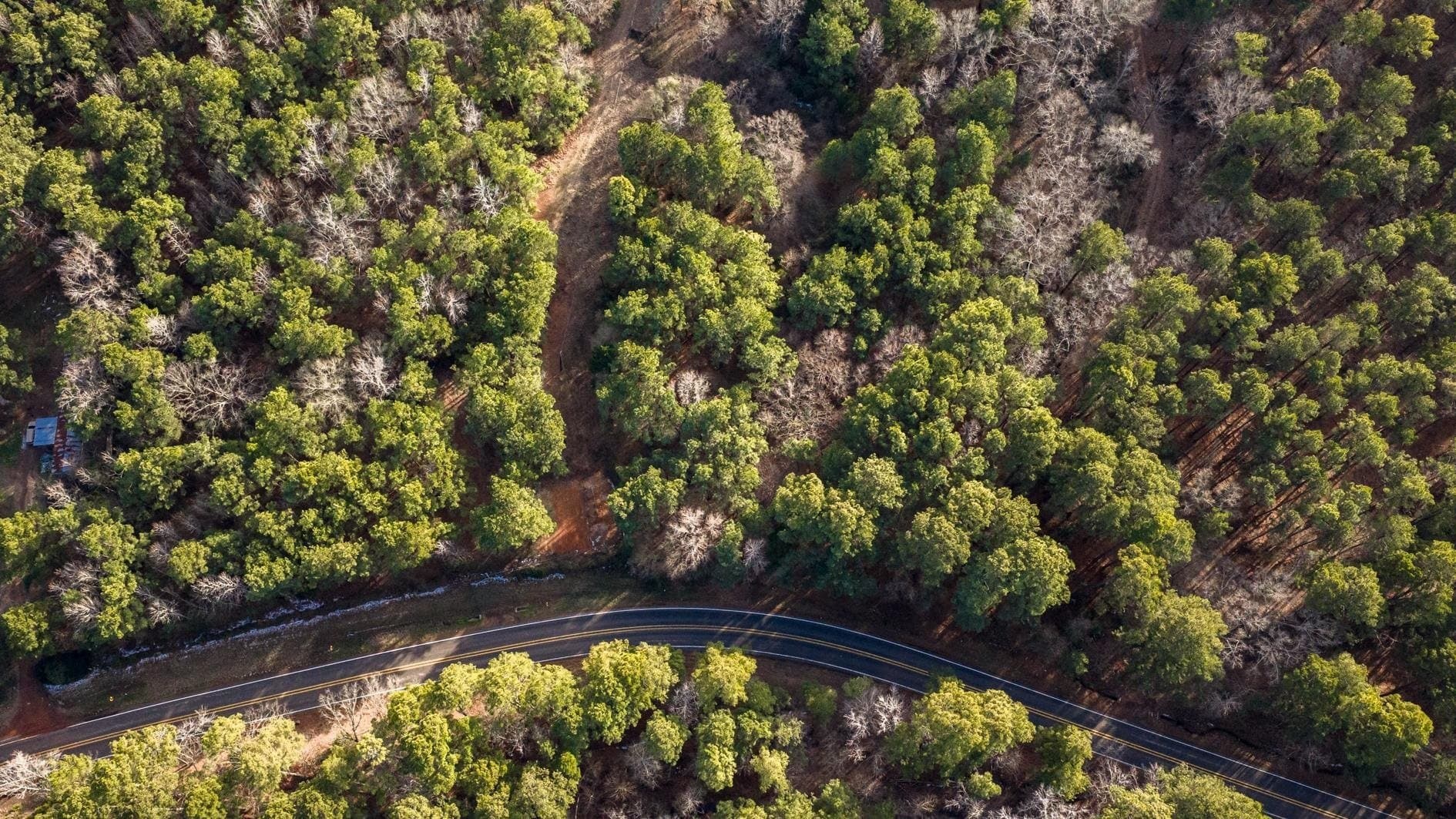 9.42 acres in Marion County - photo 3