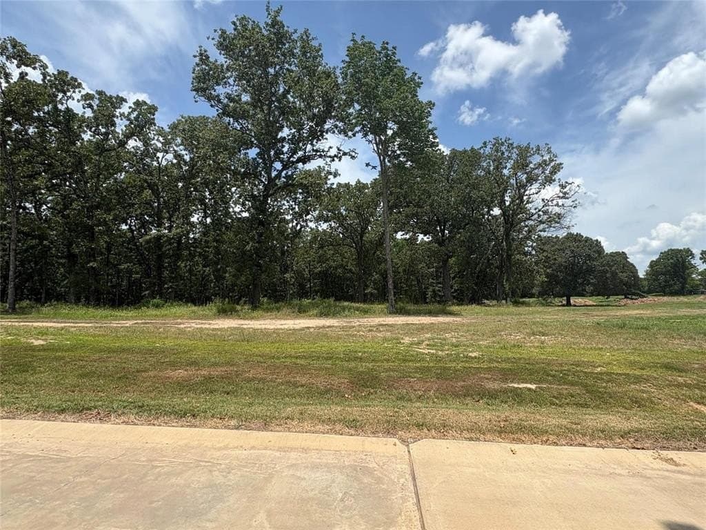 1 acres in Wood County - photo 5