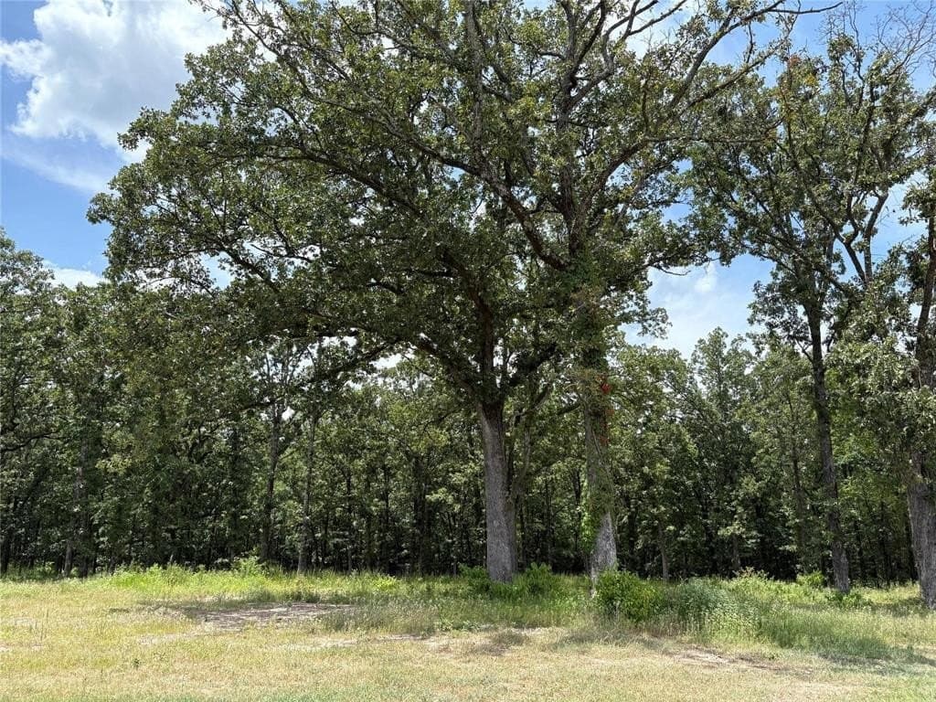 1 acres in Wood County - photo 3