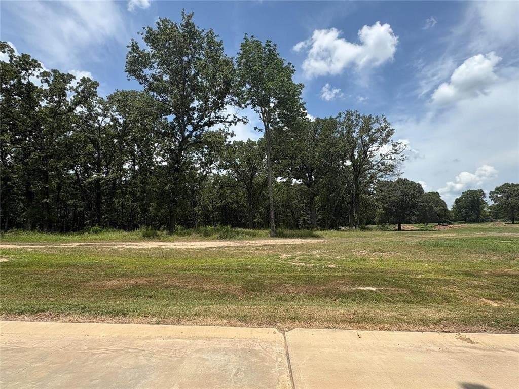 1 acres in Wood County - photo 6