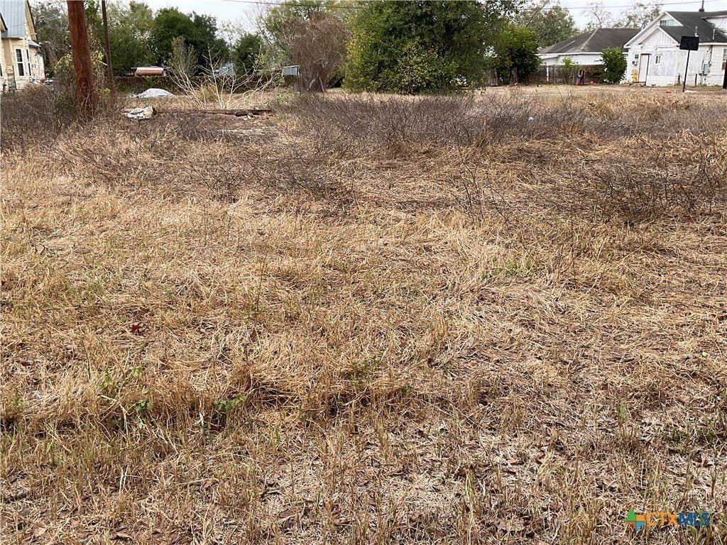 0.34 acres in DeWitt County - photo 6
