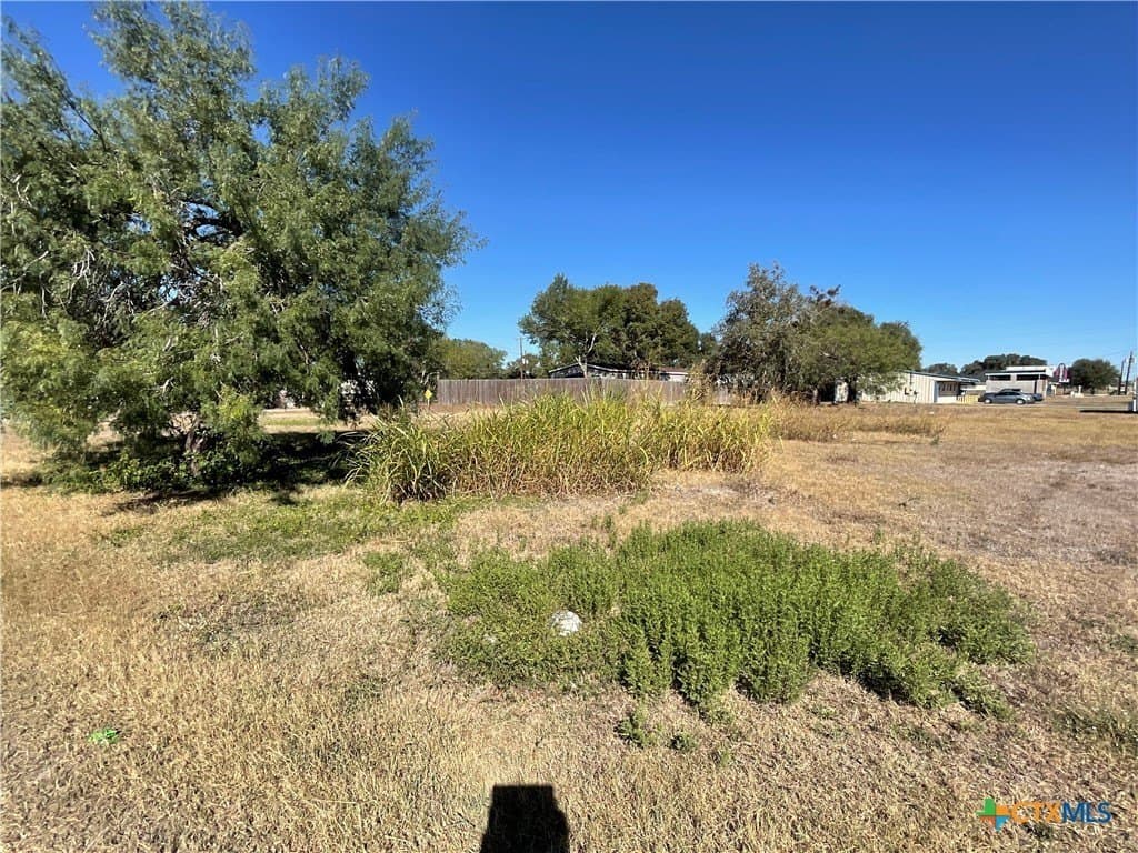 0.34 acres in DeWitt County - photo 2