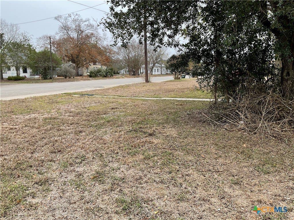 0.34 acres in DeWitt County - photo 9