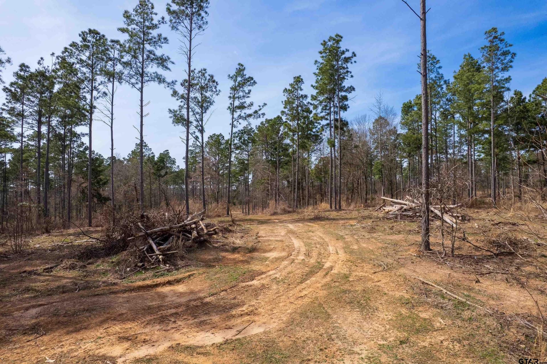 49.01 acres in Franklin County - photo 3