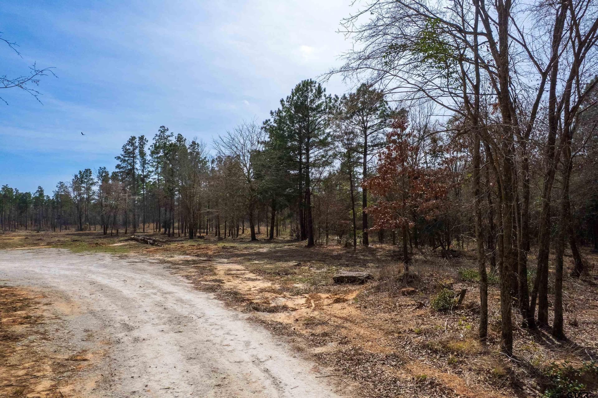 49.01 acres in Franklin County - photo 4