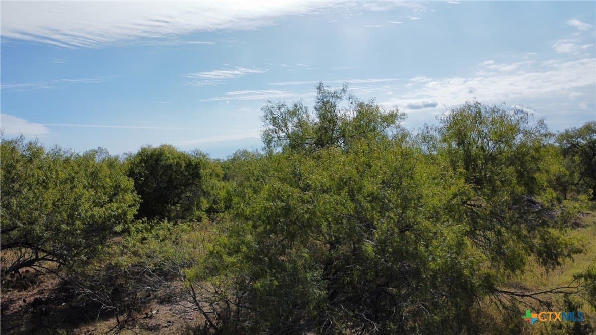 21 acres in San Patricio County - photo 7