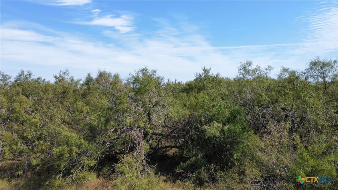 21 acres in San Patricio County - photo 6