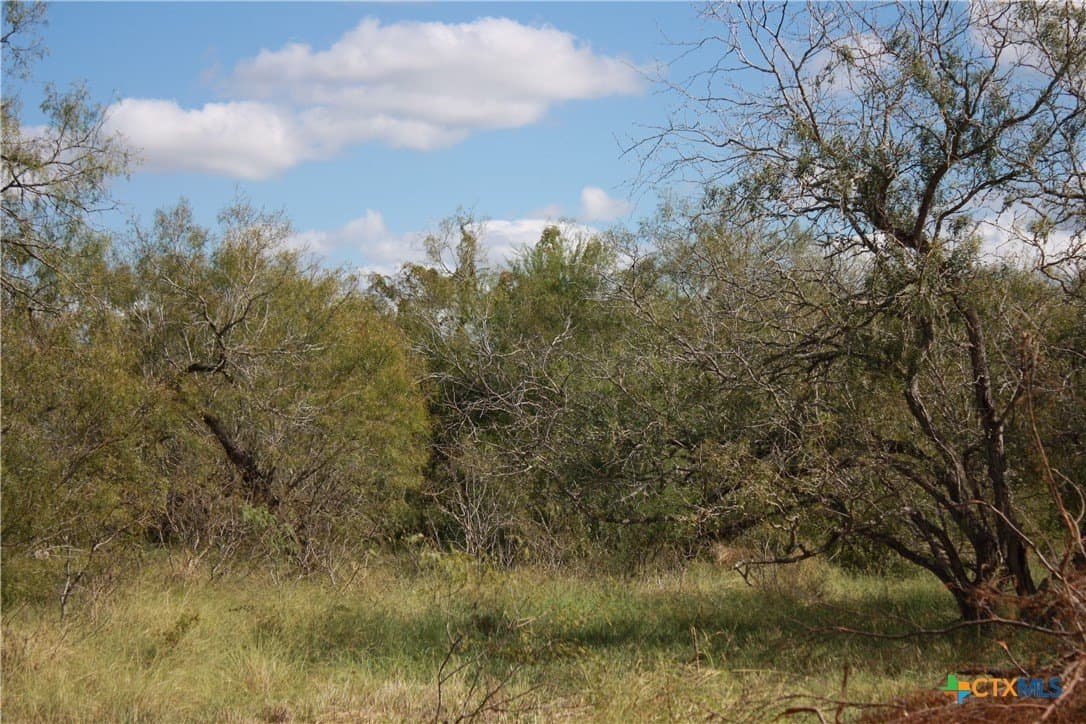 21 acres in San Patricio County - photo 10