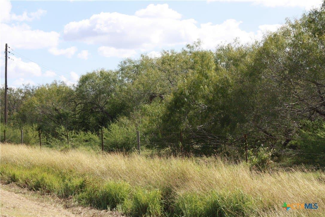 21 acres in San Patricio County - photo 11