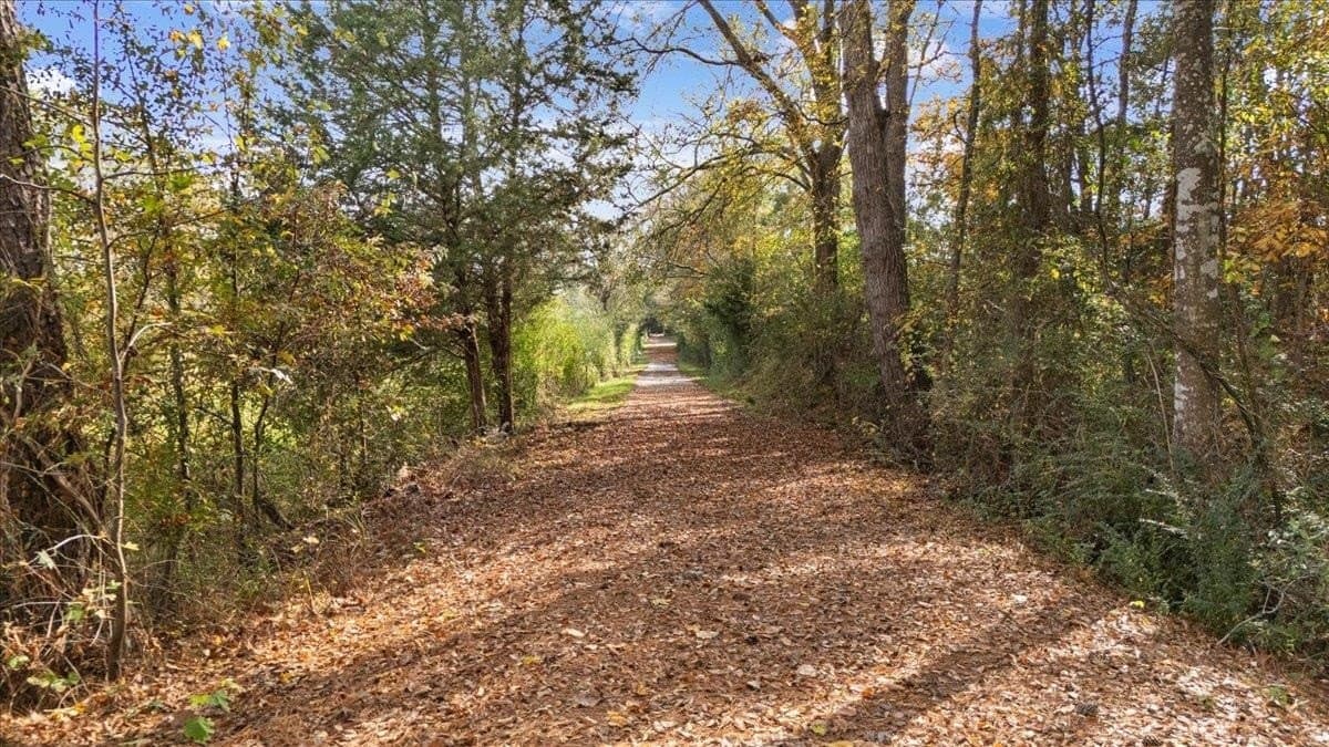 26 acres in Rusk County - photo 4