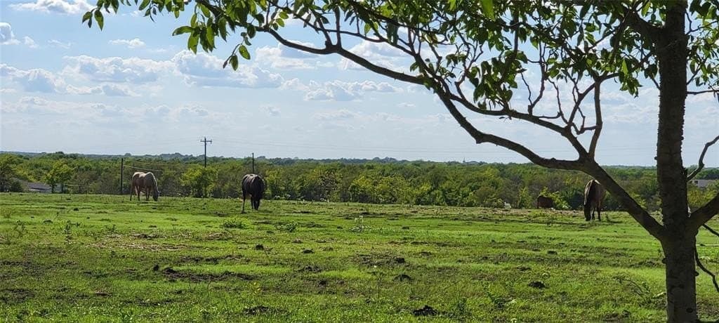 17.85 acres in Kaufman County - photo 16