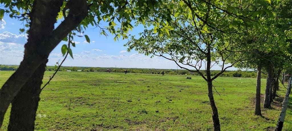 17.85 acres in Kaufman County - photo 15