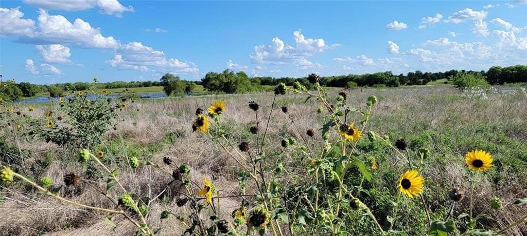 17.85 acres in Kaufman County - photo 12