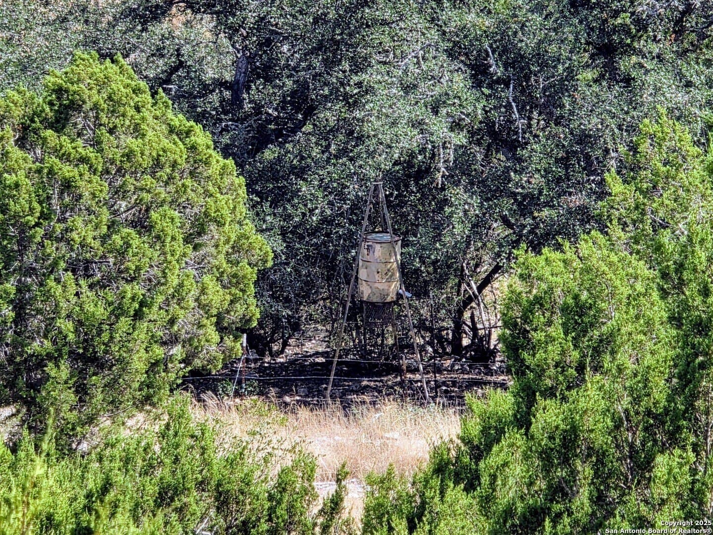 72.54 acres in Edwards County - photo 7