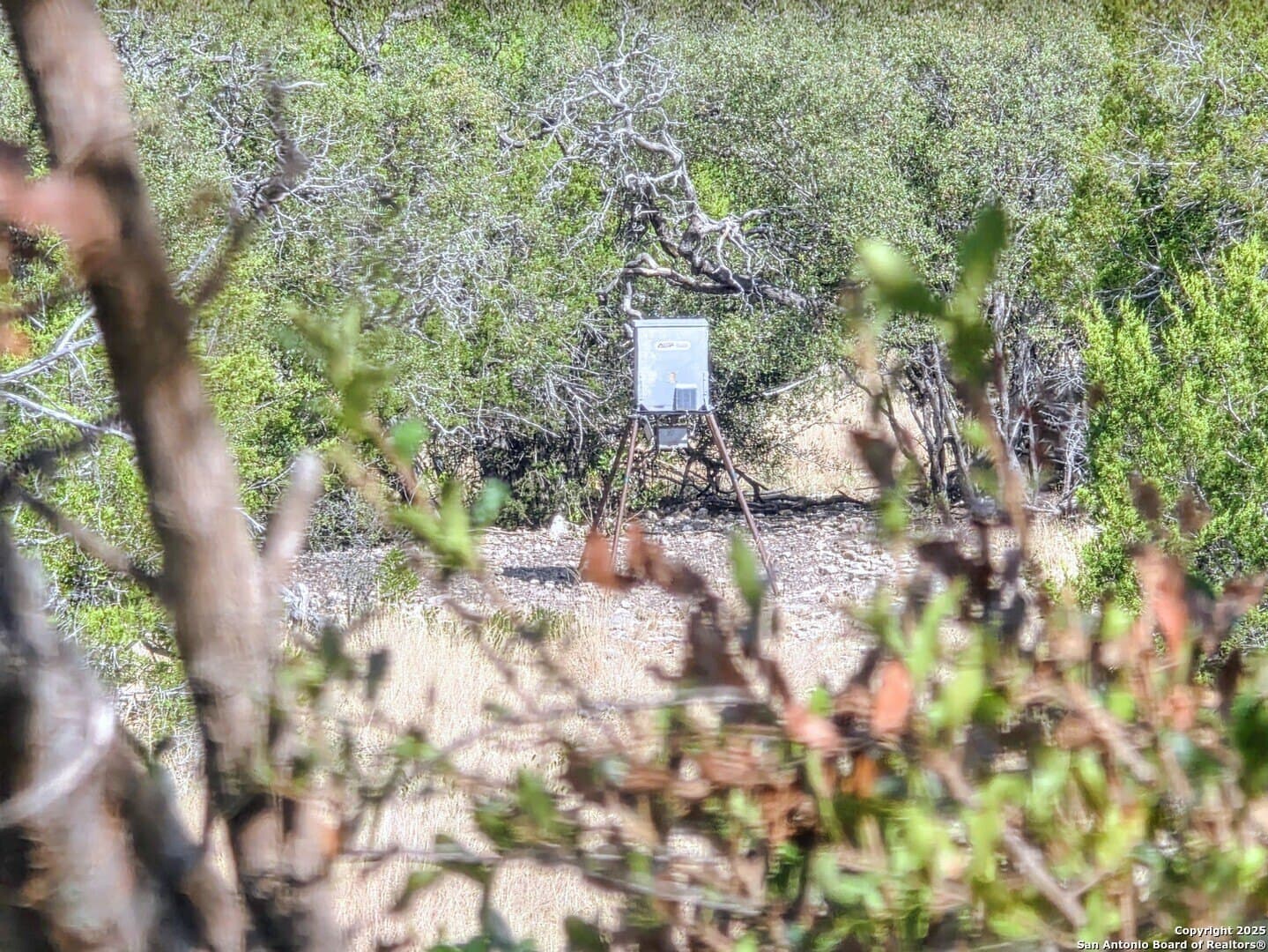 Black Waterhole Ranch
