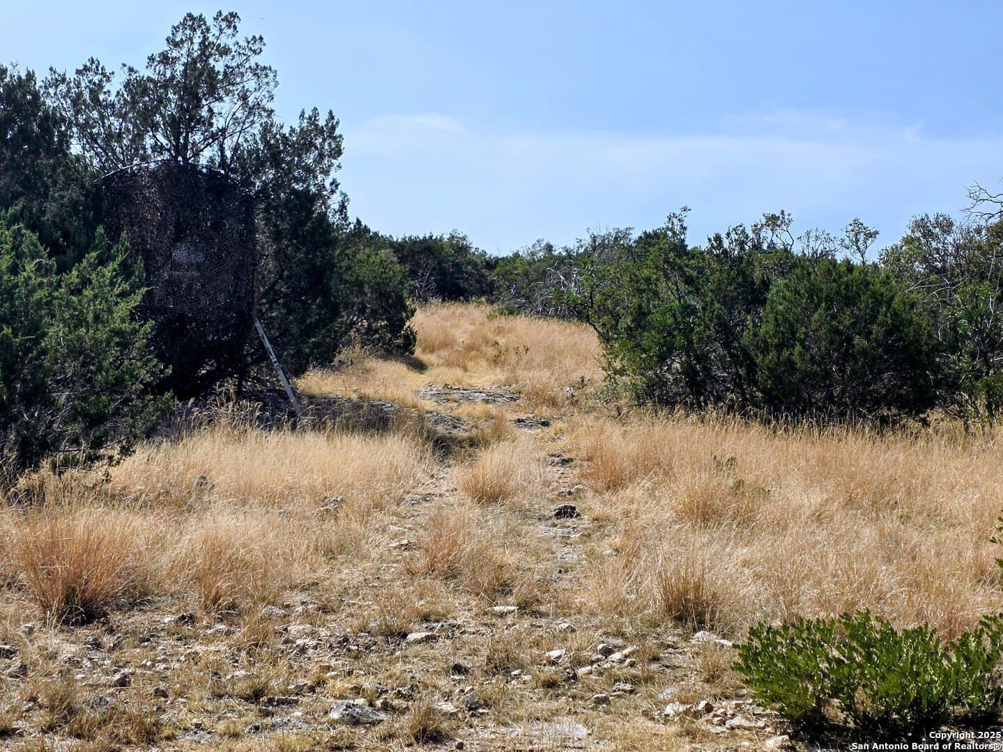 72.54 acres in Edwards County - photo 10