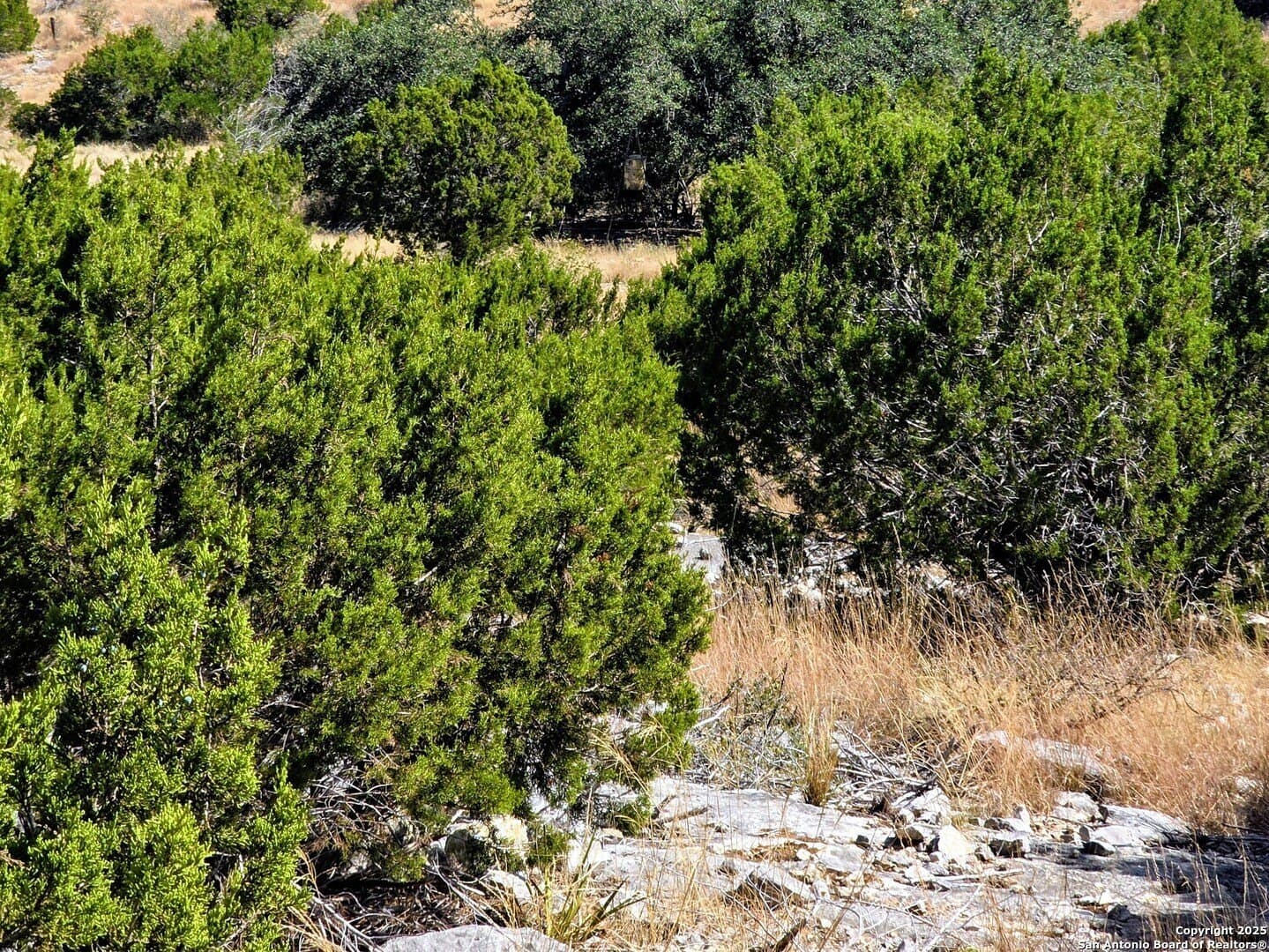 72.54 acres in Edwards County - photo 14