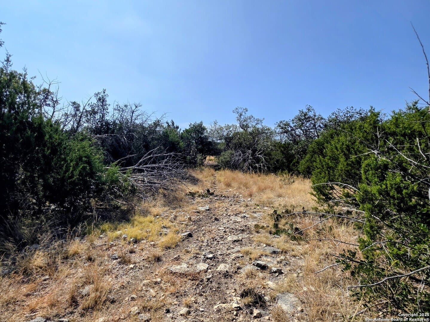 72.54 acres in Edwards County - photo 4