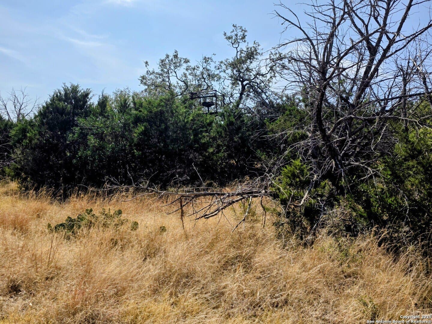 72.54 acres in Edwards County - photo 11