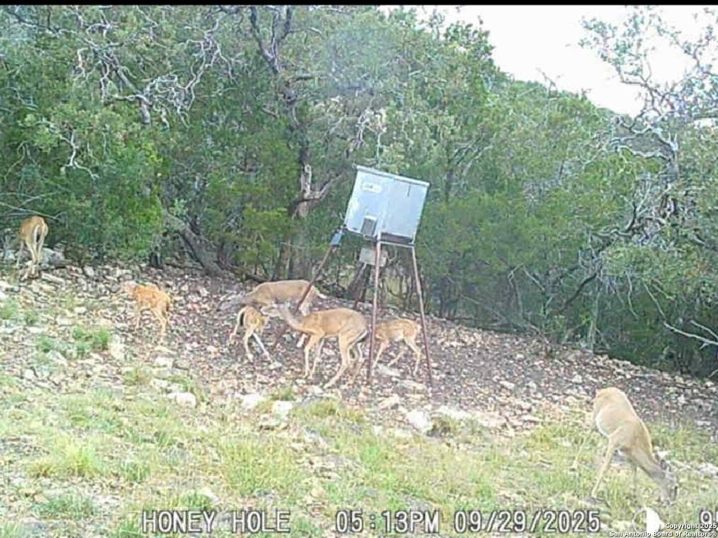 72.54 acres in Edwards County - photo 2