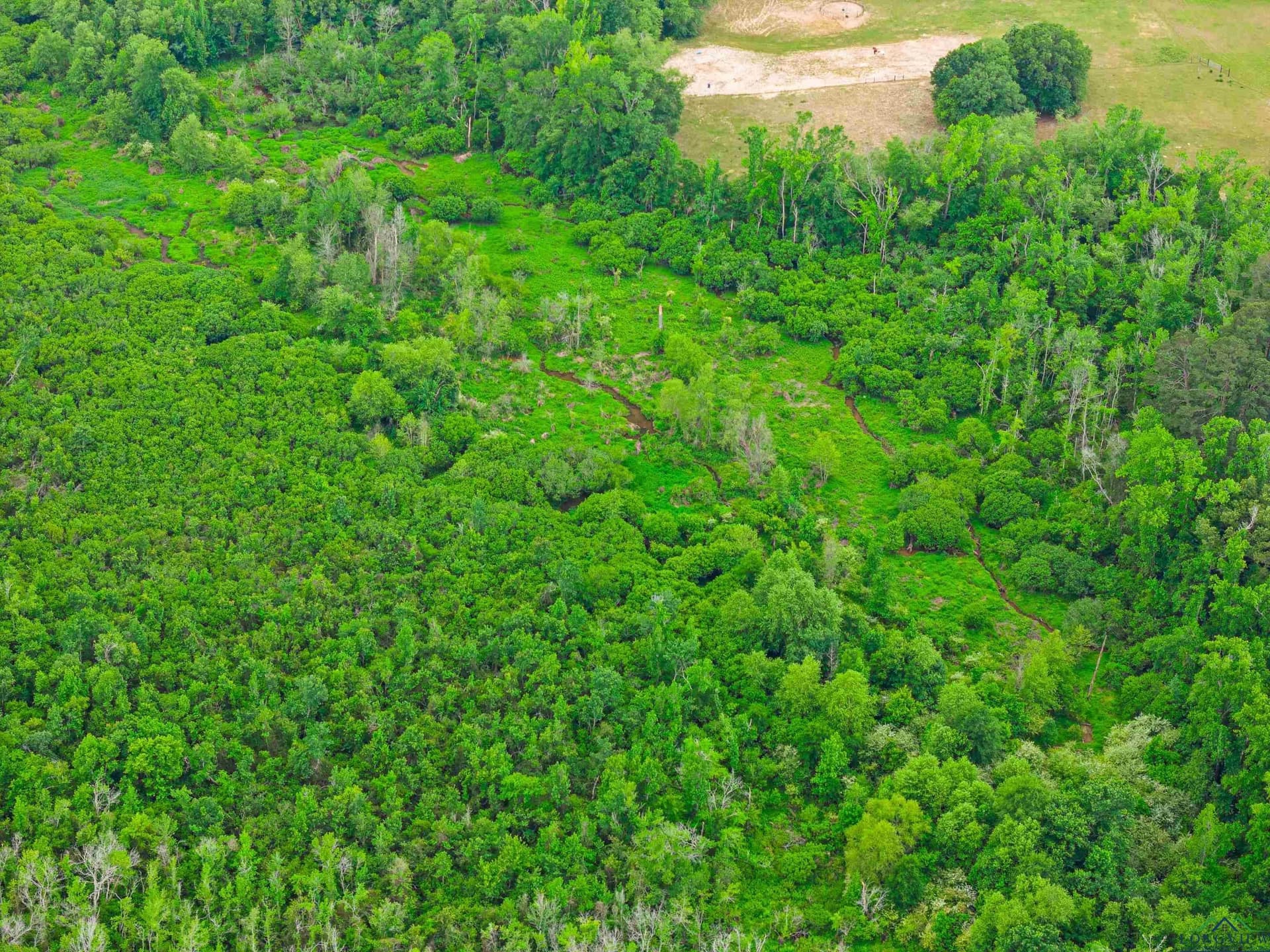 14.2 acres in Rusk County - photo 13