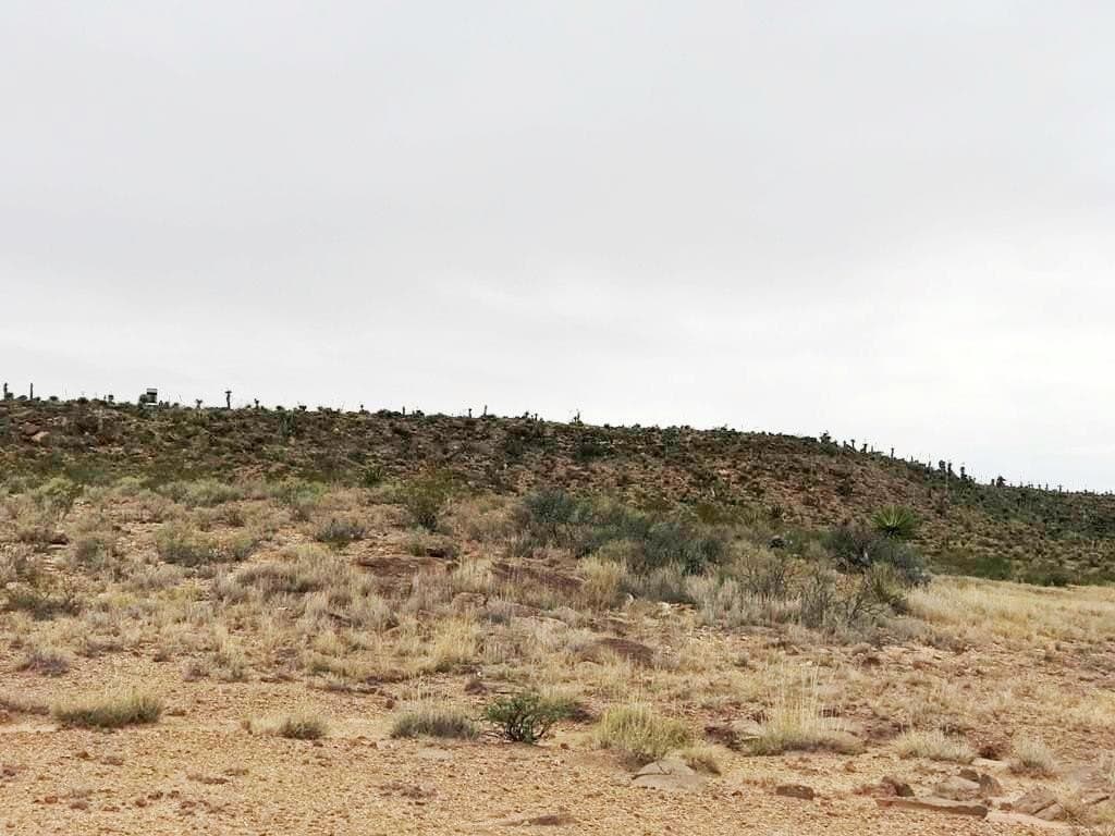 525.88 acres in Culberson County - photo 5