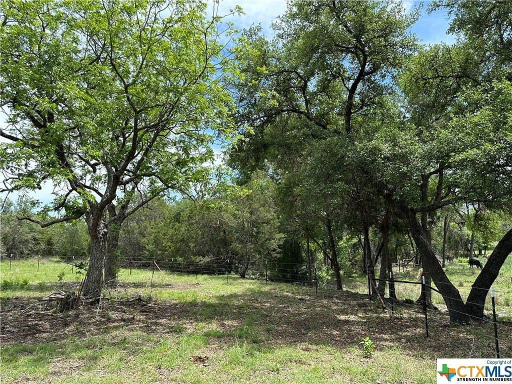 12 acres in Burnet County - photo 2