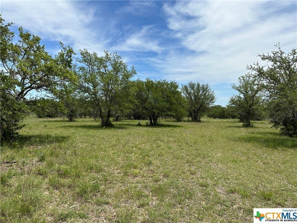12 acres in Burnet County - photo 4