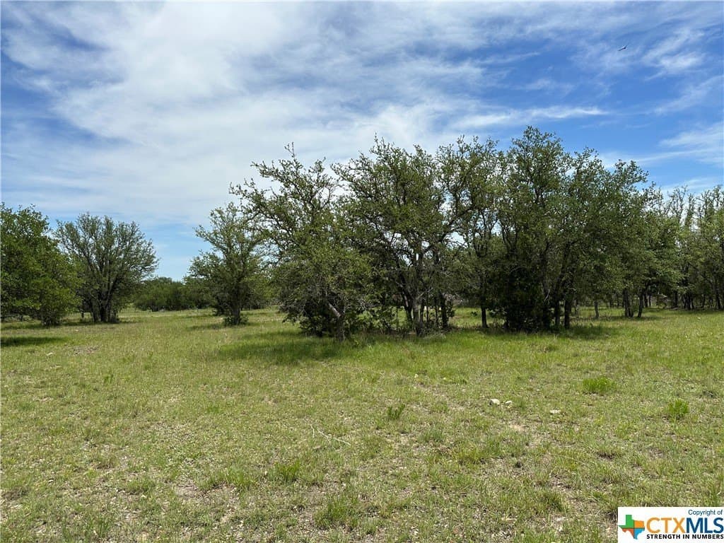 12 acres in Burnet County - photo 5