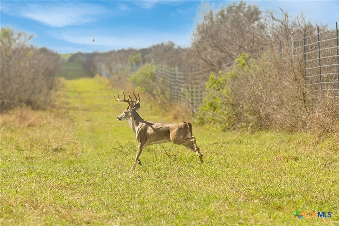 535 acres in Refugio County - photo 15