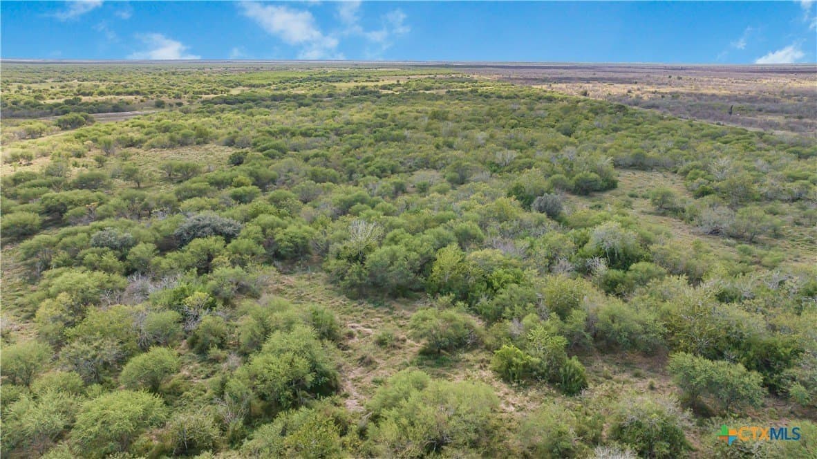 535 acres in Refugio County - photo 9