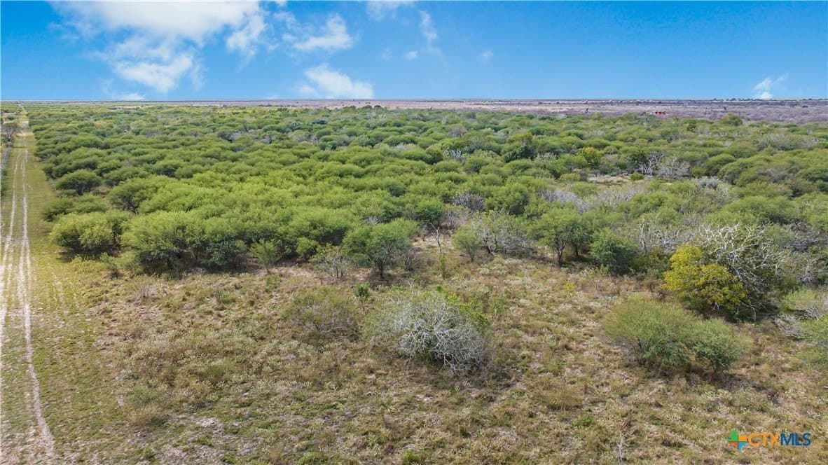 535 acres in Refugio County - photo 14