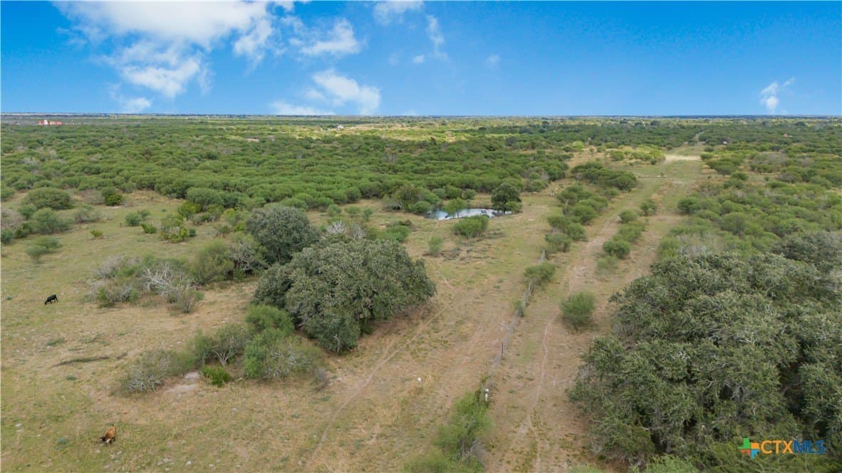 535 acres in Refugio County - photo 16