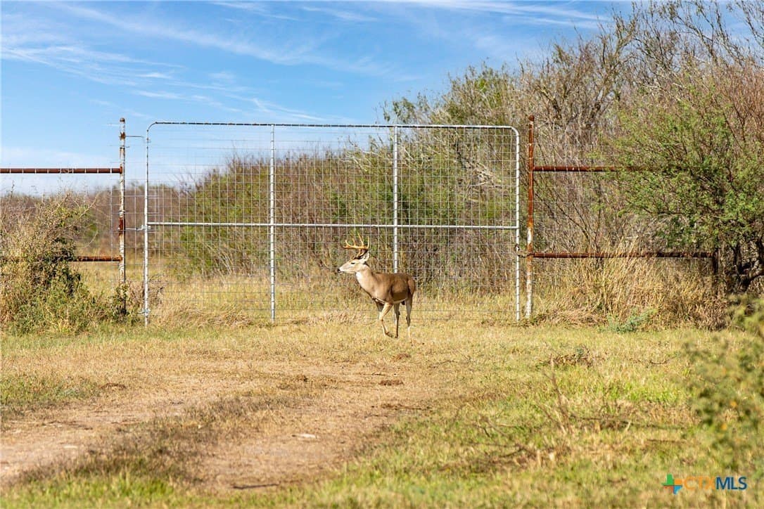 535 acres in Refugio County - photo 24